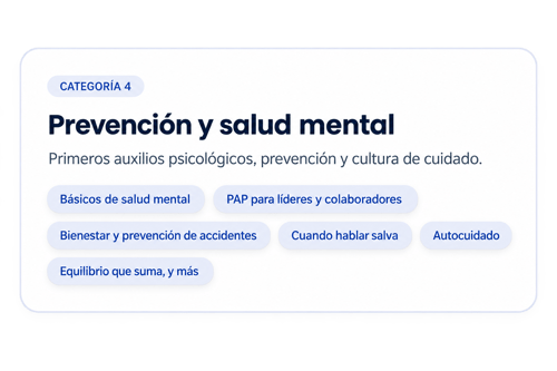 Categoría 4